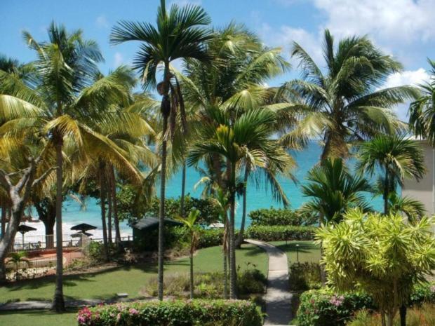 Le Pelican Le Gosier  Luaran gambar